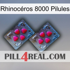 Rhinocéros 8000 Pilules 14